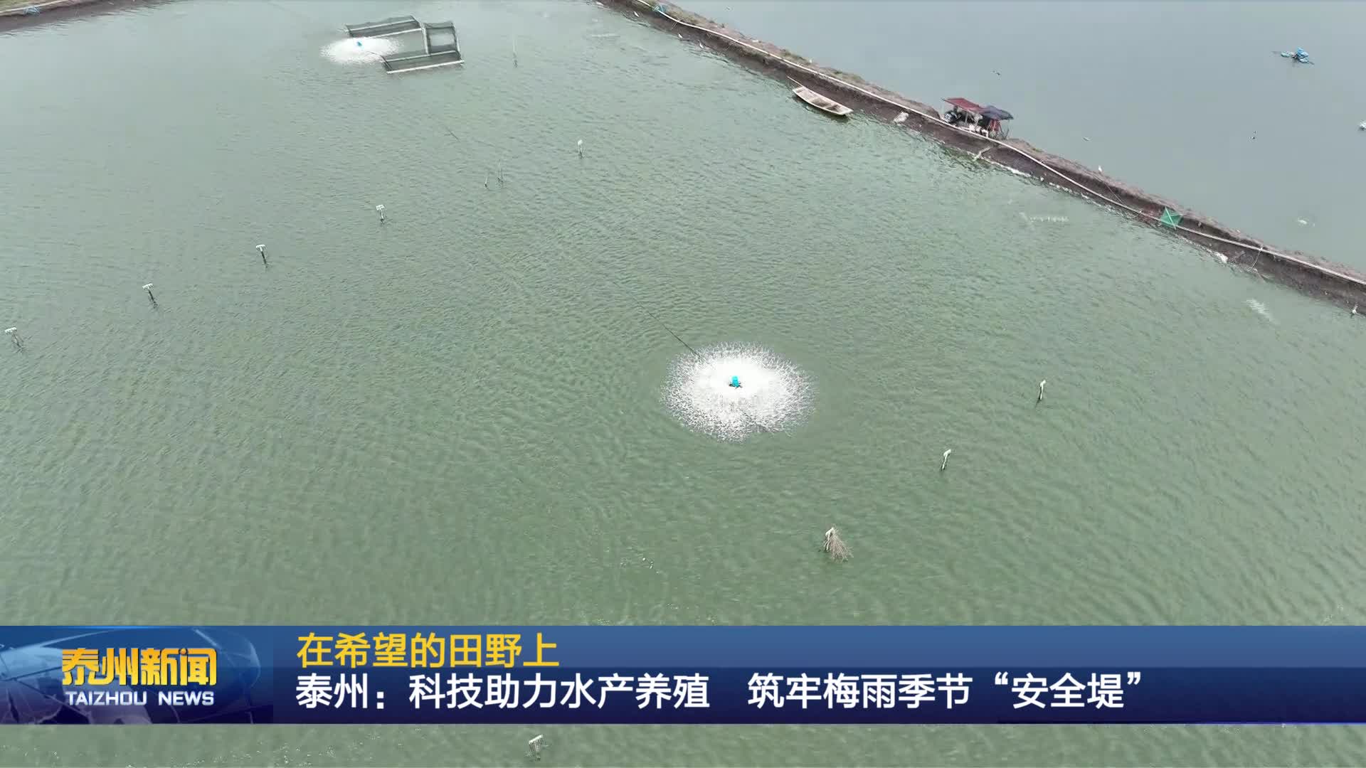 在希望的田野上  泰州：科技助力水产养殖  筑牢梅雨季节“安全堤”